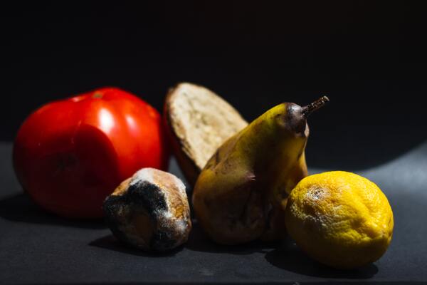 Detection and Control of Spoilage Fungi in Refrigerated Vegetables and Fruits