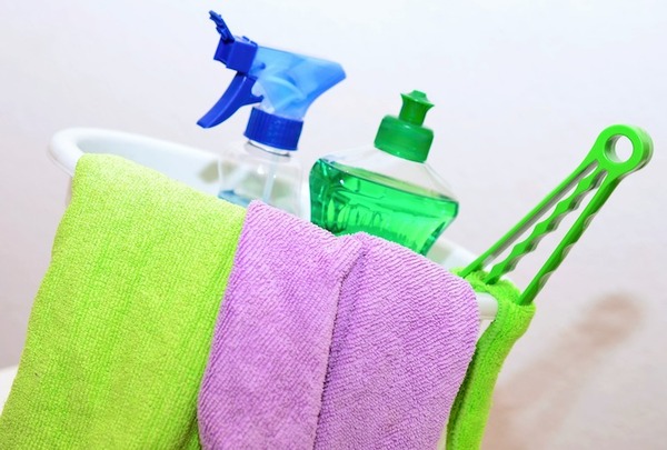 Isolation of Microbes From Common Household Surfaces