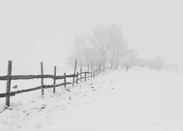 The role minor and major snowfall events play in New Jersey snowfall over the past 126 years
