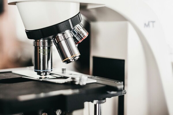 An <i>in vitro</i> comparative analysis of the growth factors present in FBS vs PLAY®