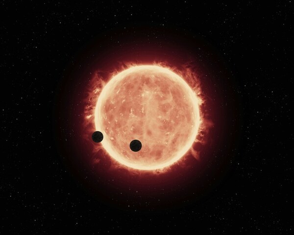 Differentiating characteristics in exoplanet host stars